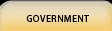 Government